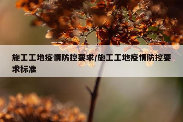 施工工地疫情防控要求/施工工地疫情防控要求标准