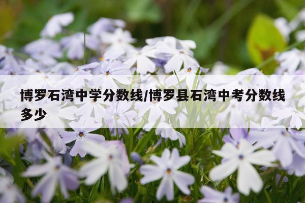 博罗石湾中学分数线/博罗县石湾中考分数线多少
