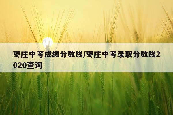 枣庄中考成绩分数线/枣庄中考录取分数线2020查询
