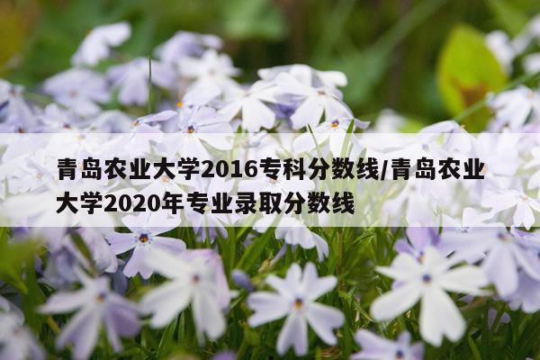 青岛农业大学2016专科分数线/青岛农业大学2020年专业录取分数线