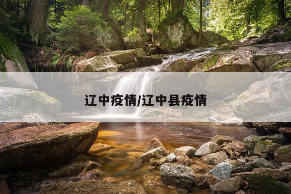 辽中疫情/辽中县疫情
