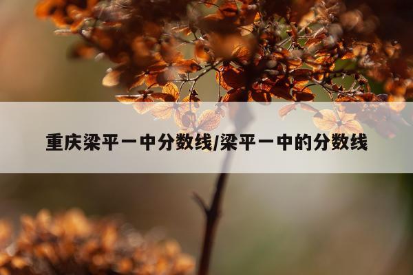重庆梁平一中分数线/梁平一中的分数线