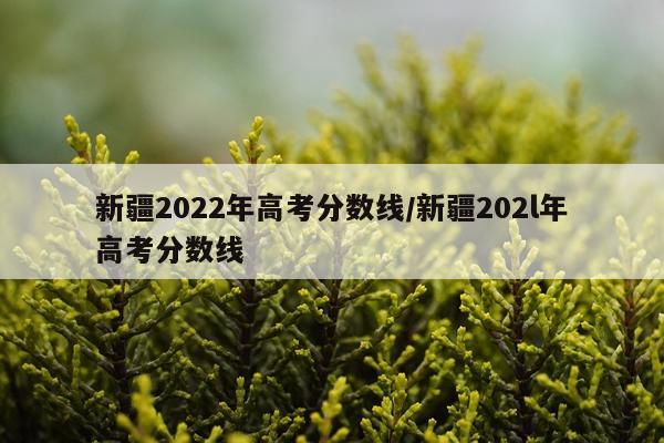 新疆2022年高考分数线/新疆202l年高考分数线