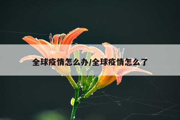 全球疫情怎么办/全球疫情怎么了