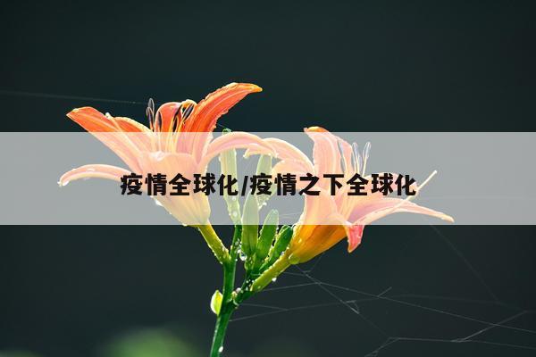疫情全球化/疫情之下全球化