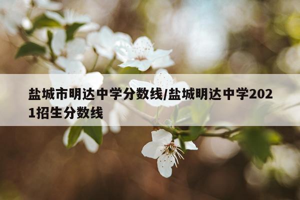 盐城市明达中学分数线/盐城明达中学2021招生分数线