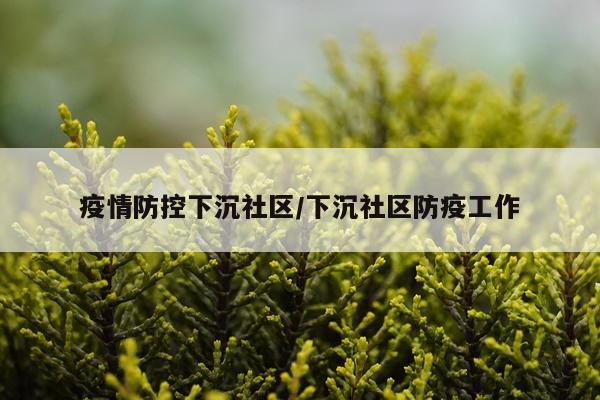 疫情防控下沉社区/下沉社区防疫工作