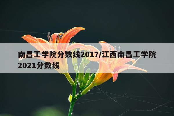 南昌工学院分数线2017/江西南昌工学院2021分数线
