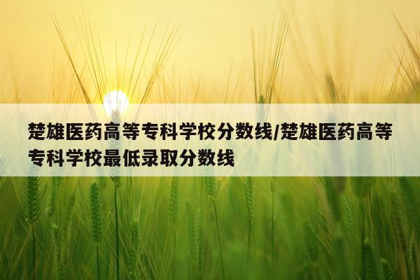 楚雄医药高等专科学校分数线/楚雄医药高等专科学校最低录取分数线