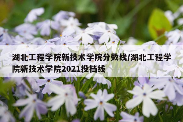 湖北工程学院新技术学院分数线/湖北工程学院新技术学院2021投档线