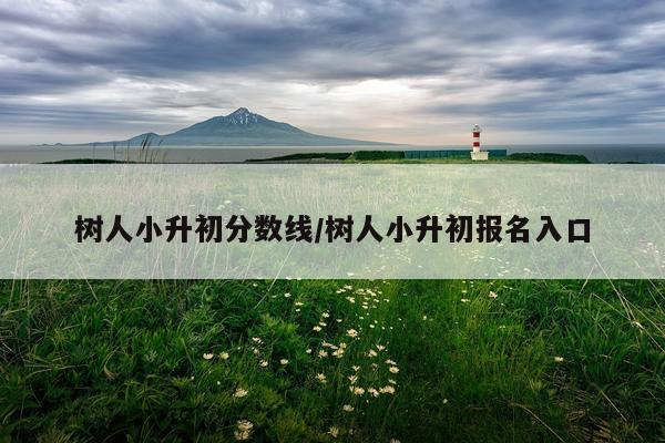 树人小升初分数线/树人小升初报名入口