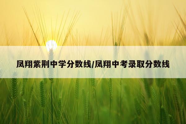 凤翔紫荆中学分数线/凤翔中考录取分数线