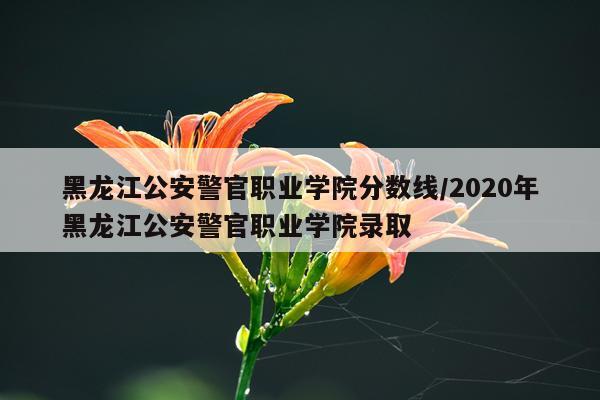 黑龙江公安警官职业学院分数线/2020年黑龙江公安警官职业学院录取