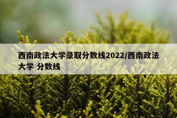 西南政法大学录取分数线2022/西南政法大学 分数线