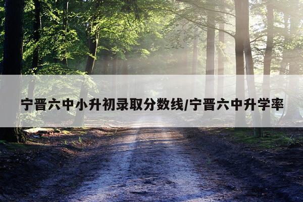 宁晋六中小升初录取分数线/宁晋六中升学率