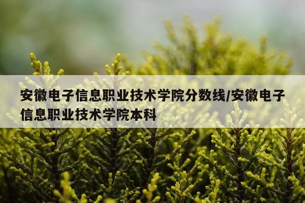 安徽电子信息职业技术学院分数线/安徽电子信息职业技术学院本科