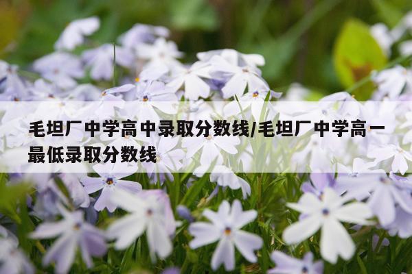 毛坦厂中学高中录取分数线/毛坦厂中学高一最低录取分数线