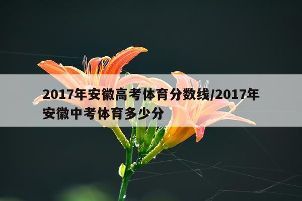 2017年安徽高考体育分数线/2017年安徽中考体育多少分