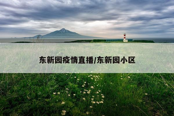 东新园疫情直播/东新园小区