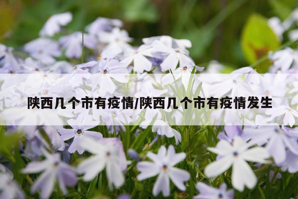 陕西几个市有疫情/陕西几个市有疫情发生