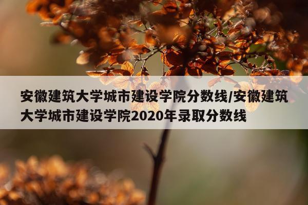 安徽建筑大学城市建设学院分数线/安徽建筑大学城市建设学院2020年录取分数线