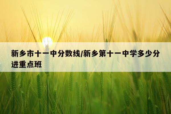 新乡市十一中分数线/新乡第十一中学多少分进重点班