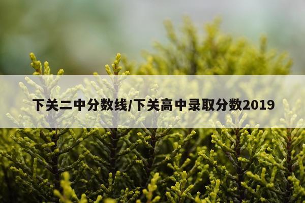 下关二中分数线/下关高中录取分数2019