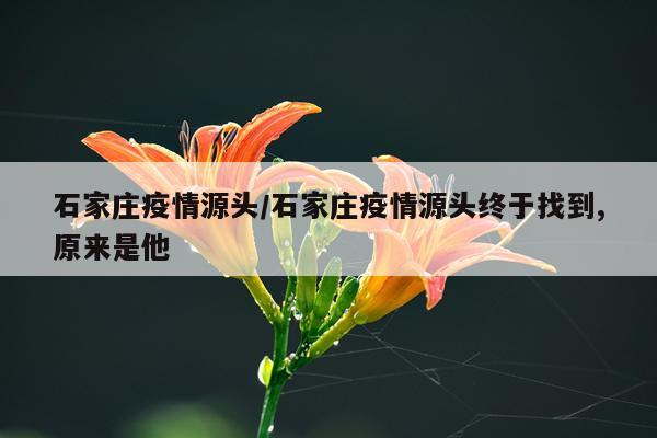 石家庄疫情源头/石家庄疫情源头终于找到,原来是他