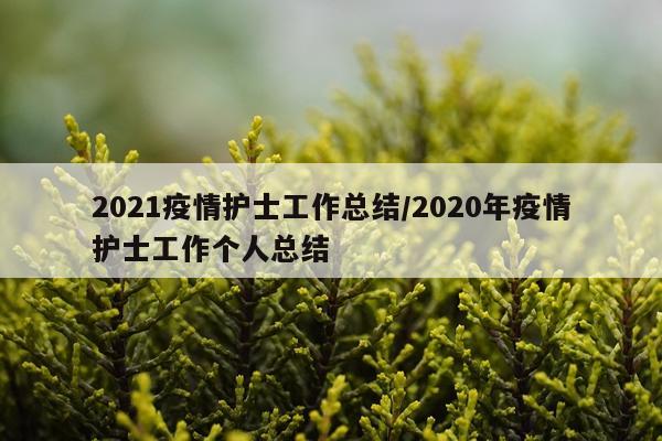 2021疫情护士工作总结/2020年疫情护士工作个人总结