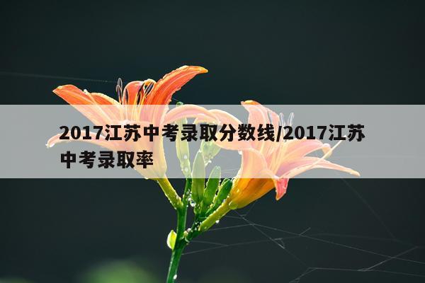 2017江苏中考录取分数线/2017江苏中考录取率