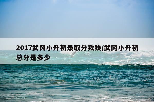 2017武冈小升初录取分数线/武冈小升初总分是多少