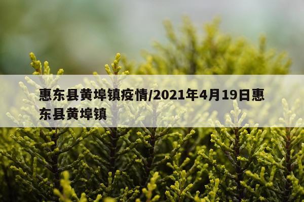 惠东县黄埠镇疫情/2021年4月19日惠东县黄埠镇