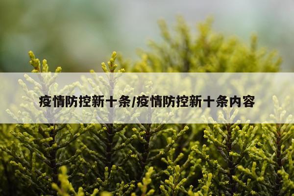 疫情防控新十条/疫情防控新十条内容