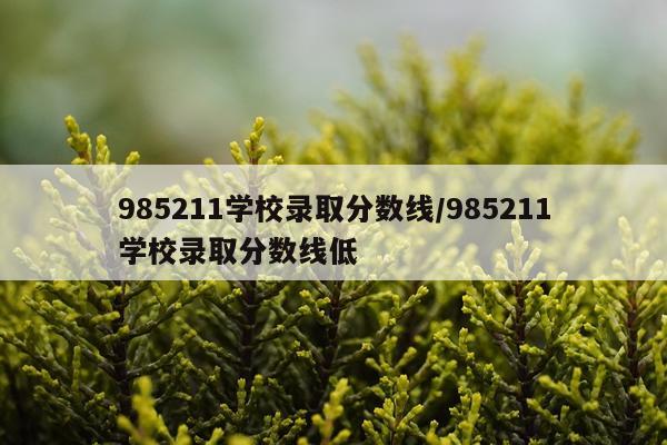 985211学校录取分数线/985211学校录取分数线低