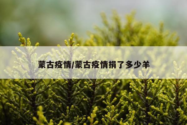 蒙古疫情/蒙古疫情捐了多少羊