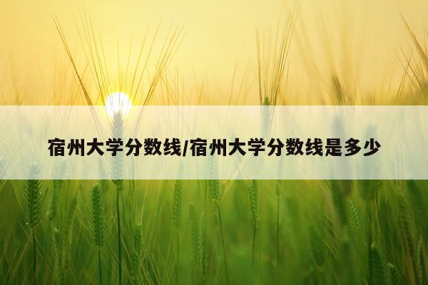 宿州大学分数线/宿州大学分数线是多少