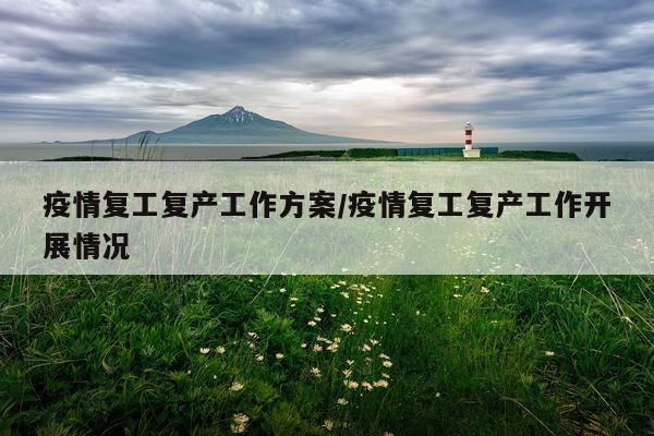 疫情复工复产工作方案/疫情复工复产工作开展情况