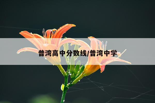 普湾高中分数线/普湾中学