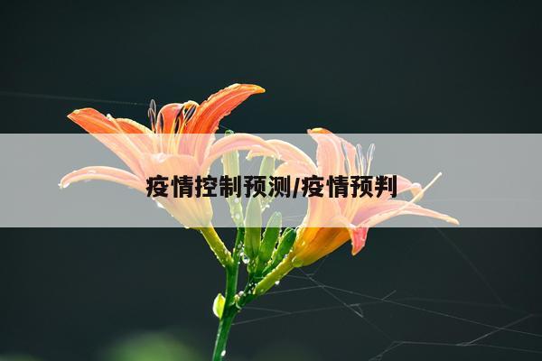 疫情控制预测/疫情预判