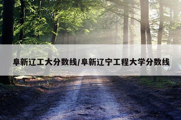 阜新辽工大分数线/阜新辽宁工程大学分数线