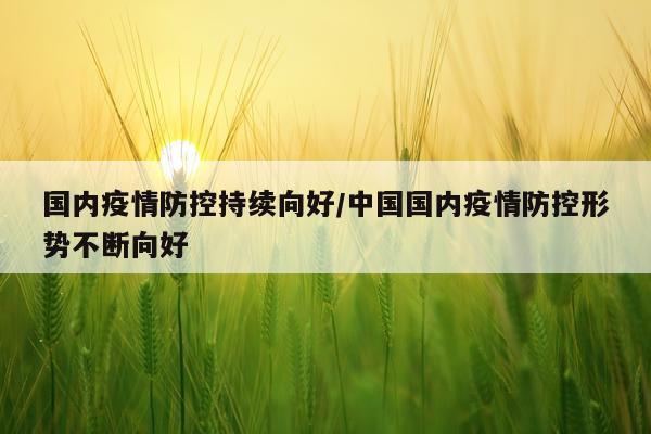 国内疫情防控持续向好/中国国内疫情防控形势不断向好