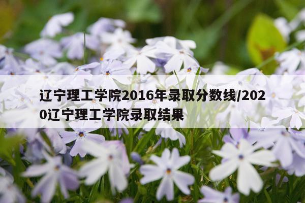 辽宁理工学院2016年录取分数线/2020辽宁理工学院录取结果