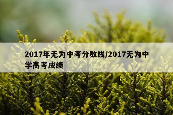 2017年无为中考分数线/2017无为中学高考成绩