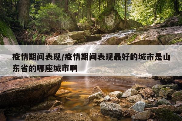 疫情期间表现/疫情期间表现最好的城市是山东省的哪座城市啊