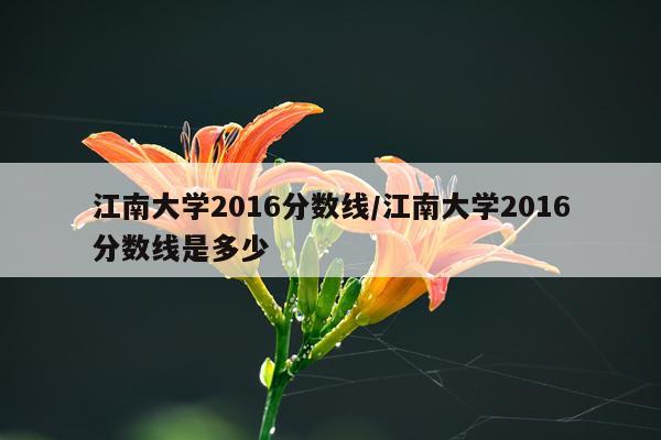 江南大学2016分数线/江南大学2016分数线是多少