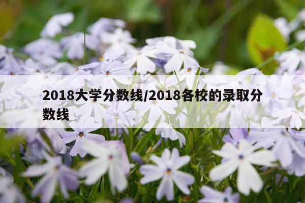 2018大学分数线/2018各校的录取分数线