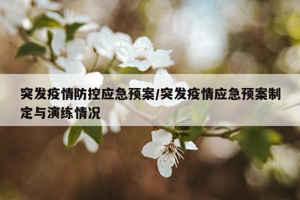 突发疫情防控应急预案/突发疫情应急预案制定与演练情况