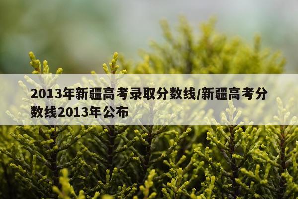 2013年新疆高考录取分数线/新疆高考分数线2013年公布