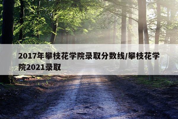 2017年攀枝花学院录取分数线/攀枝花学院2021录取
