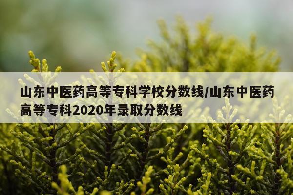 山东中医药高等专科学校分数线/山东中医药高等专科2020年录取分数线